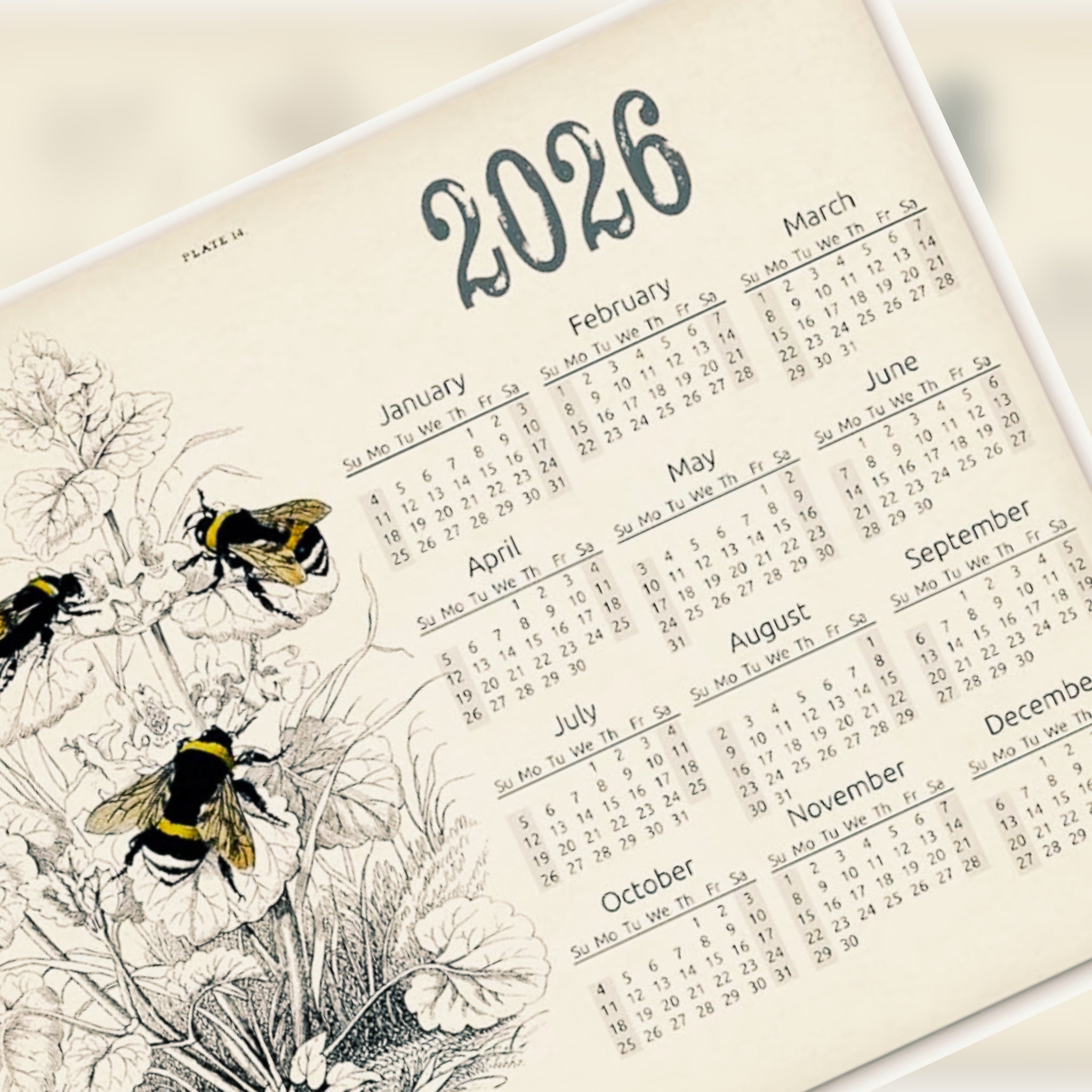 2026 Event and Market Schedule