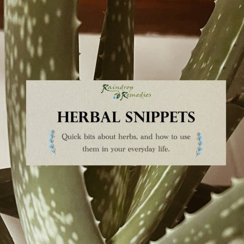 Herbal Snippets: Aloe Vera