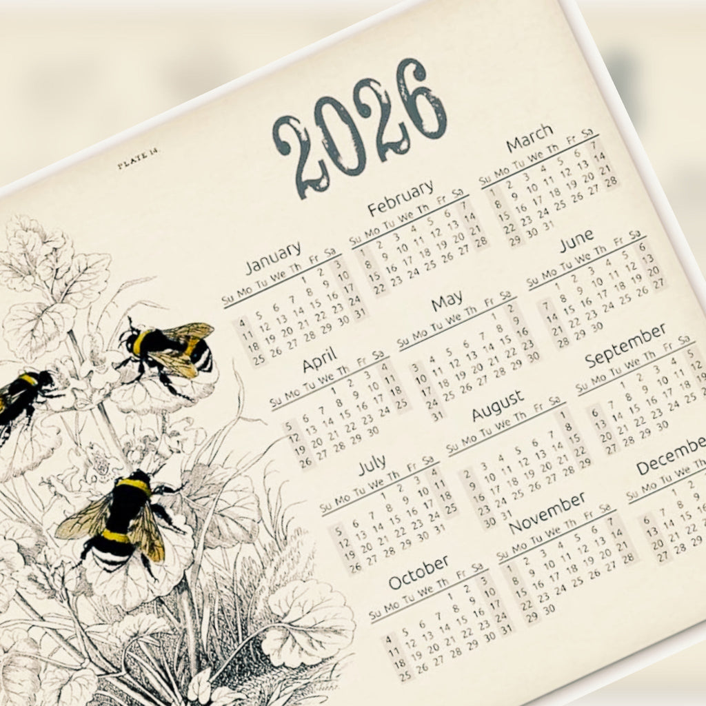 2026 Event and Market Schedule