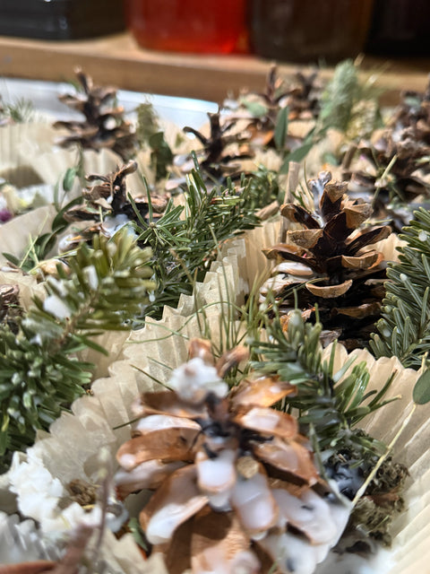 Large fire starters with pine cones