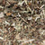 Chill Out Yo! Herbal Tea | Raindrop Remedies
